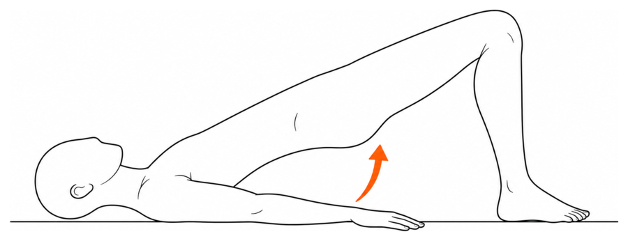 Line drawing of a person holding a glute bridge with hips lifted